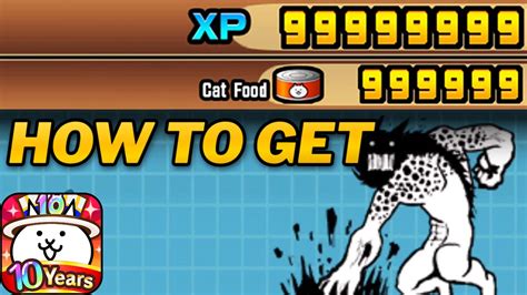how to get xp fast in battle cats|The Battle Cats .